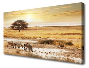 Obraz na Płótnie Zebry Safari Krajobraz