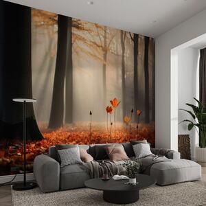 Fototapety Jesienny las w promieniach słońca i wśród jasnych liści, Fototapety Natura, w04710 : Uwalls.pl