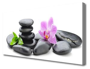 Obraz na Płótnie Kwiat Kamienie Zen