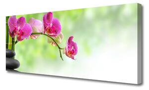 Obraz na Płótnie Kwiat Natura Bambus