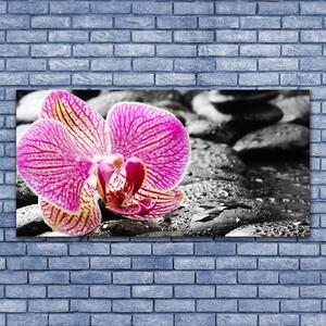 Obraz na Płótnie Kwiat Kamienie Orchidea
