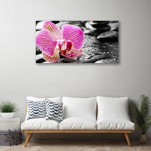 Obraz na Płótnie Kwiat Kamienie Orchidea