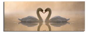 Obraz na płótnie Swan Love, 90x30 cm