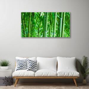 Obraz na Płótnie Bambus Łodyga Roślina