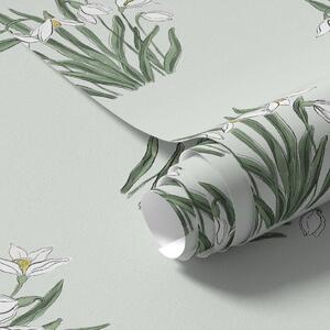 Tapety Przebiśniegi z zielonymi liśćmi na pastelowo zielonym tle, Tapety Z kwiatami, a00651 : Uwalls.pl