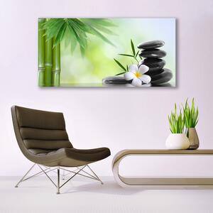Obraz na Szkle Bambus Łodyga Kwiat Roślina