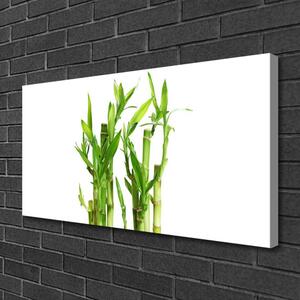 Obraz na Płótnie Bambus Łodyga Kwiat Roślina