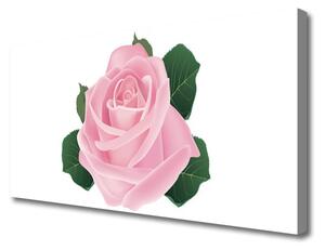 Obraz na Płótnie Róża Kwiat Roślina Natura