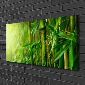 Obraz na Płótnie Bambus Łodygi Roślina