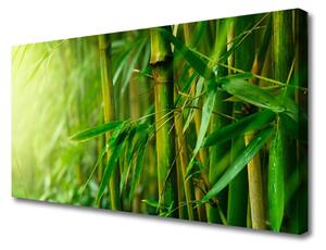 Obraz na Płótnie Bambus Łodygi Roślina