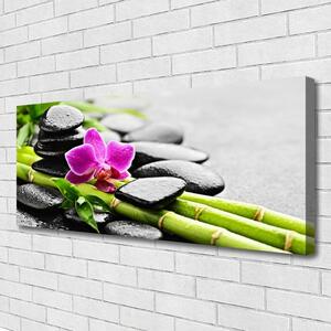 Obraz na Płótnie bambus Kwiat Kamienie Sztuka