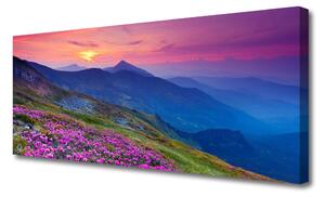 Obraz na Płótnie Góry Łąka Kwiaty Krajobraz