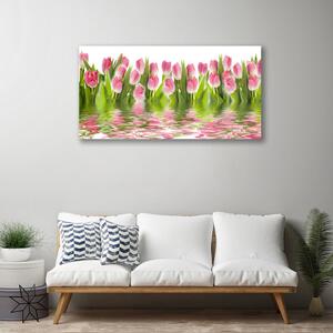 Obraz Canvas Tulipany Roślina Natura