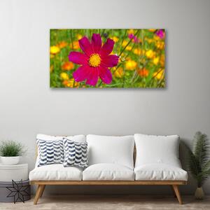Obraz Canvas Kwiat Roślina Natura