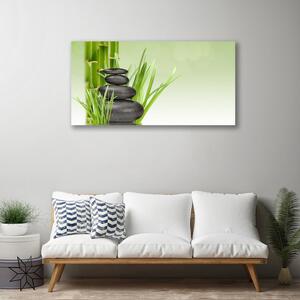 Obraz Canvas Bambus Trawa Roślina Natura