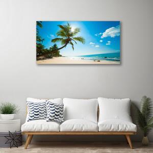 Obraz Canvas Palma Drzewo Plaża Krajobraz