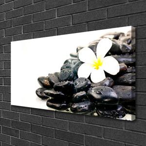 Obraz Canvas Kwiaty Kamienie Sztuka
