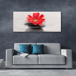 Obraz Canvas Kwiat Gerbera