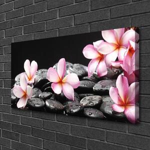 Obraz Canvas Kwiat Plumeria na Ścianę