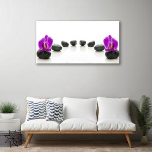 Obraz Canvas Kwiat Storczyki Kamyczki