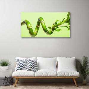 Obraz Canvas Bambus Roślina Przyroda
