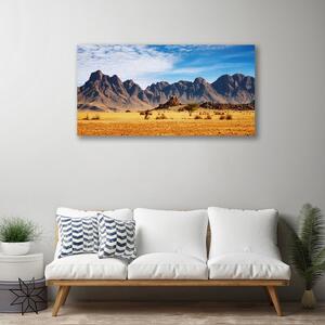 Obraz Canvas Pustynia Góry Krajobraz