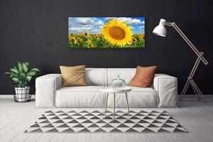 Obraz Canvas Słonecznik Kwiat Roślina