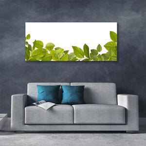 Obraz Canvas Liście Natura Roślina