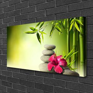 Obraz Canvas Bambus Kwiat Kamienie Zen