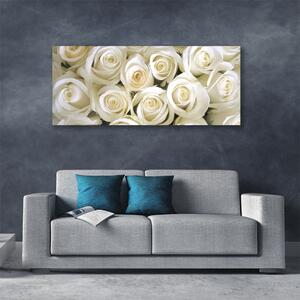 Obraz Canvas Róże Kwiaty Roślina