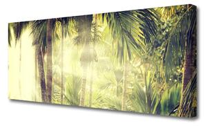 Obraz Canvas Las Palmy Drzewa Natura