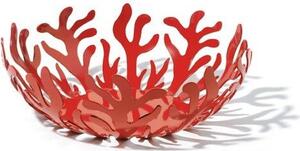 Misa na owoce Mediterraneo 25 cm czerwona