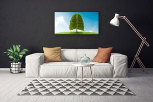 Obraz Canvas Trawa Drzewo Płuca Przyroda