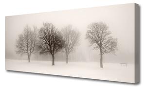 Obraz Canvas Śnieg Drzewa Krajobraz