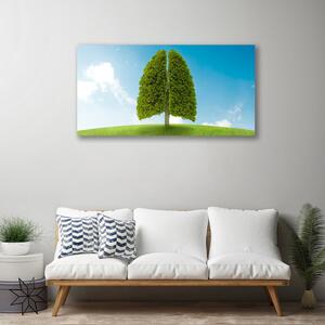 Obraz Canvas Trawa Drzewo Płuca Przyroda