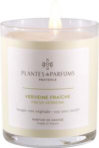 Świeca zapachowa perfumowana - Fresh Verbena - Świeża Werbena