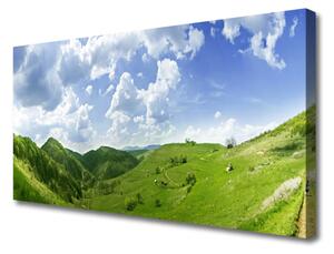 Obraz Canvas Góra Łąka Przyroda Pole