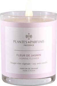 Świeca zapachowa perfumowana - Jasmine Flower - Jaśmin