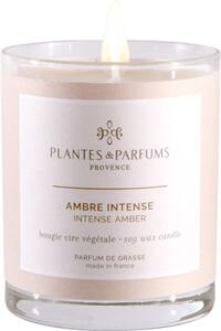 Świeca zapachowa perfumowana - Intense Amber - Drogocenna Ambra