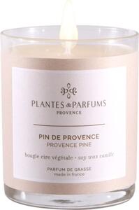 Świeca zapachowa perfumowana - Provence Pine - Prowansalska Sosna