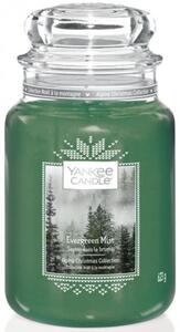 Świeca zapachowa Yankee Candle DUŻA - Evergreen Mist