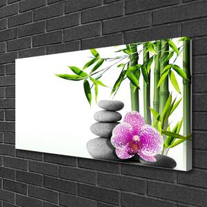 Obraz Canvas Bambus Spa Zen Sztuka