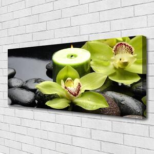 Obraz Canvas Orchidea Kwiaty