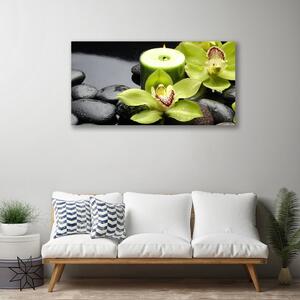 Obraz Canvas Orchidea Kwiaty