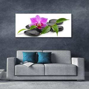 Obraz Canvas Kwiat Orchidea Sztuka