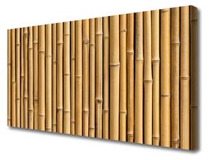 Obraz Canvas Bambus Roślina Przyroda