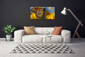 Obraz Canvas Motyl Kwiat Przyroda