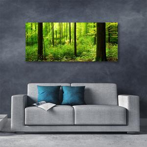 Obraz Canvas Las Zieleń Drzewa Natura