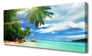 Obraz Canvas Palma Plaża Morze Krajobraz