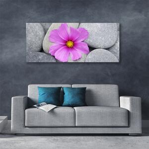 Obraz Canvas Kwiat Spa Roślina